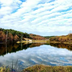  어신(魚神) 조우회의 11월 정출( 한 방 )