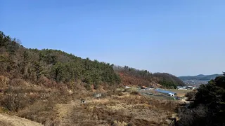  2024년 어신(魚神) 조우회의 03월 정출 (봄이로소이다)