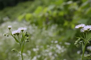 포그피싱 6월 정기출조