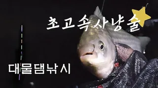 초고속 사냥술 댐낚시 붕어사냥!!