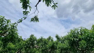 블루길 너무 한다