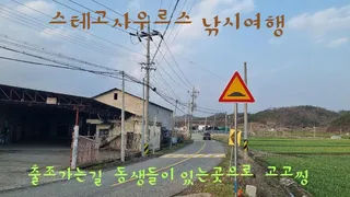 토종터에서...    붕어를 만나다