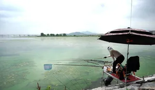 아산호 공세리 석축지대 - 배수기 붕어 집합장?