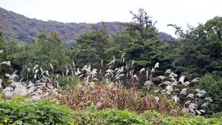 소류지 가을 대어들