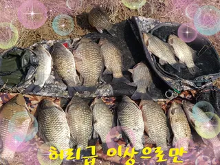 월척회원님들 대림동곰 오랜만에 인사드립니다. 꾸벅