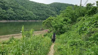 붕어 사짜 얼굴을 보다...