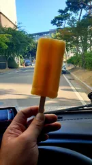 노지 조행기 시즌21화 마름을~피해 찾은 계곡지