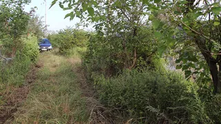 당진 석문저수지는 지금