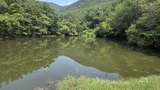 허접조사 고마해 붕어낚시 거긴 애들만 있어요!!