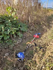 11월의 낚시여행