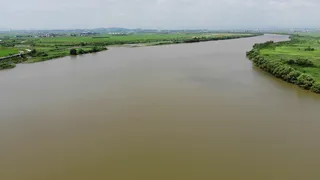 흙탕물 오름수위 밤낚시에 호조과