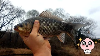 노지 조행기2026 시즌 4화 2박3일