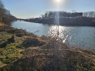 한겨울에 물낚시? 이산포수로에서 답이 나왔다