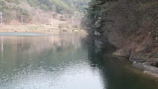 로즈피싱 2026년 시조회 정출