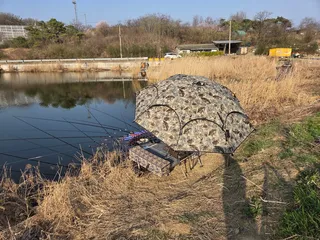 까멜리아의 86번째 조행기'허리급 3마리'