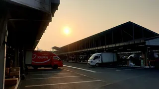 노지 조행기 시즌7화 붕어야~놀자!