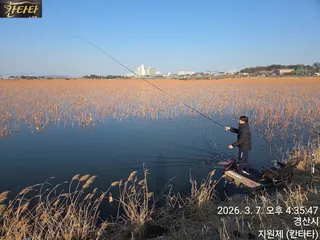 까멜리아의 85번째 조행기 '연밭대형지'