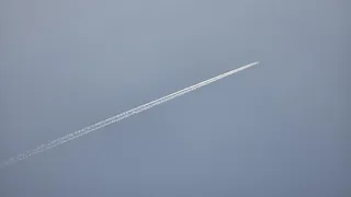 드디어 시즌이 시작 되었다