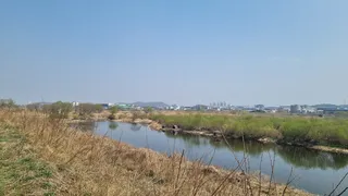 붕어 있는곳으로 가주세요 