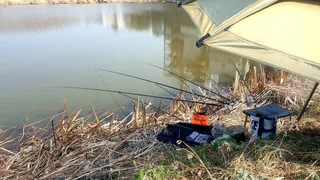 노지 조행기 시즌8화 세마리^^치킨