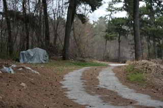 2026년 포그피싱 시조회및 정기출조