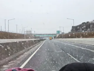 운수 좋은 날에 만난 마릿수 손맛