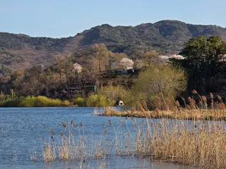 꽃샘추위 속에서 만남