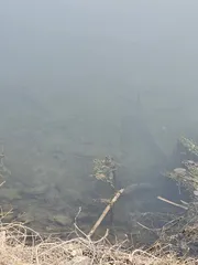 풍비의 물가 나들이~~☆★