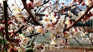 노지 조행기 시즌6화 바람아~