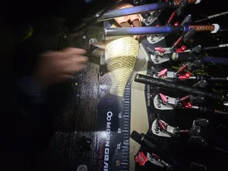 이번비로 오름수위 어어지고 제일4짜