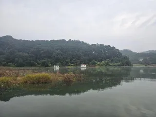 제일대물붕어.키다리낚시터월척 마리수 