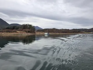 충주호제일낚시 주말4짜 