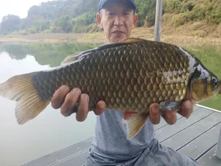 꾸준한오름수위제일4짜 