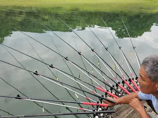 제일허리급들 .문골허리급들 