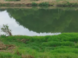 달천강포인트를 돌아보며 