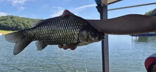 제일4짜.키다리4짜마리수.문골대물