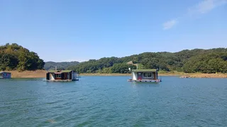 키다리대물허리급 