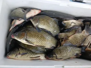 제일.키다리 4짜로 대답합니다 