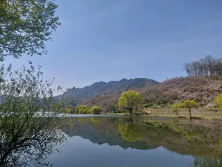 매전지45.4짜 대물붕어.가볼만한 소류지