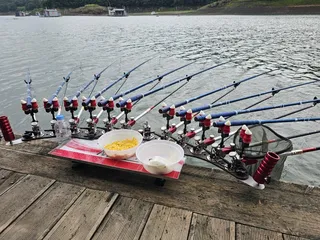 충주호 제일낚시월척.현재상황 