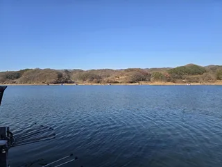 wpdlf43.41. 월척들 