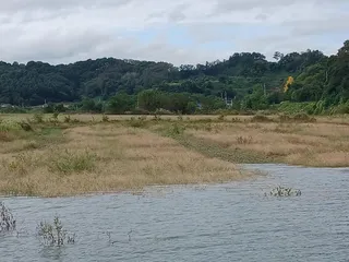 충주호제일낚시44.41.덕곡38월척 퍼레이드 