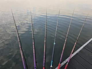 제일43.41 꾸준한조황을 보이는 대물들 