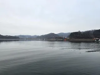 충주호제일낚시 38.40 대물들  