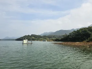 .제일허리급월척마리수.키다리낚시터월척.조황정보 