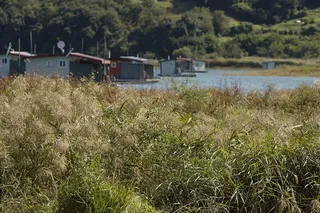 충주호안정권 제일낚시 조황정보 