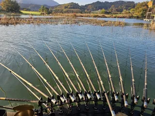 제일허리급월척 