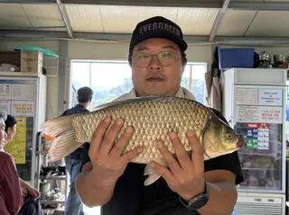 고삼지 사짜조황입니다.