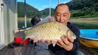 충주호덕곡낚시 39월척들 제일낚시4짜대박 