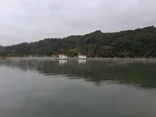 제일43 가을대물붕어 